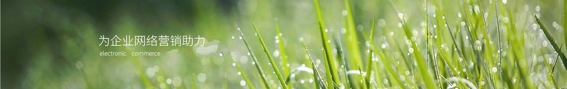 Ϻе޹˾